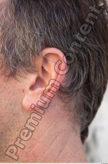 Ear texture of street references 385 0001